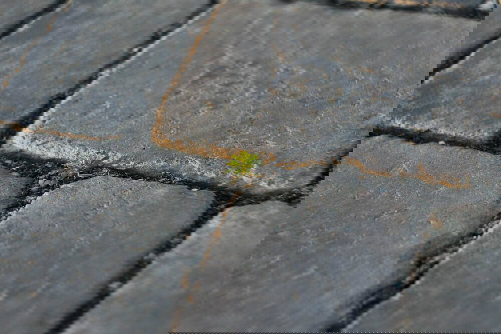 10 compelling reasons to invest in paving