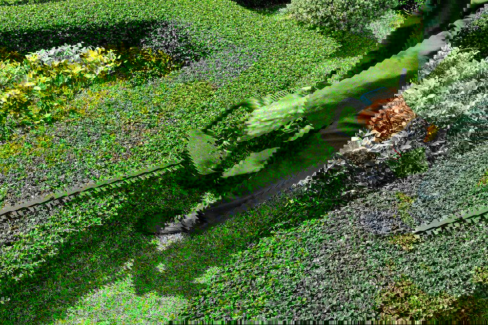 Expert Landscaping Contractors