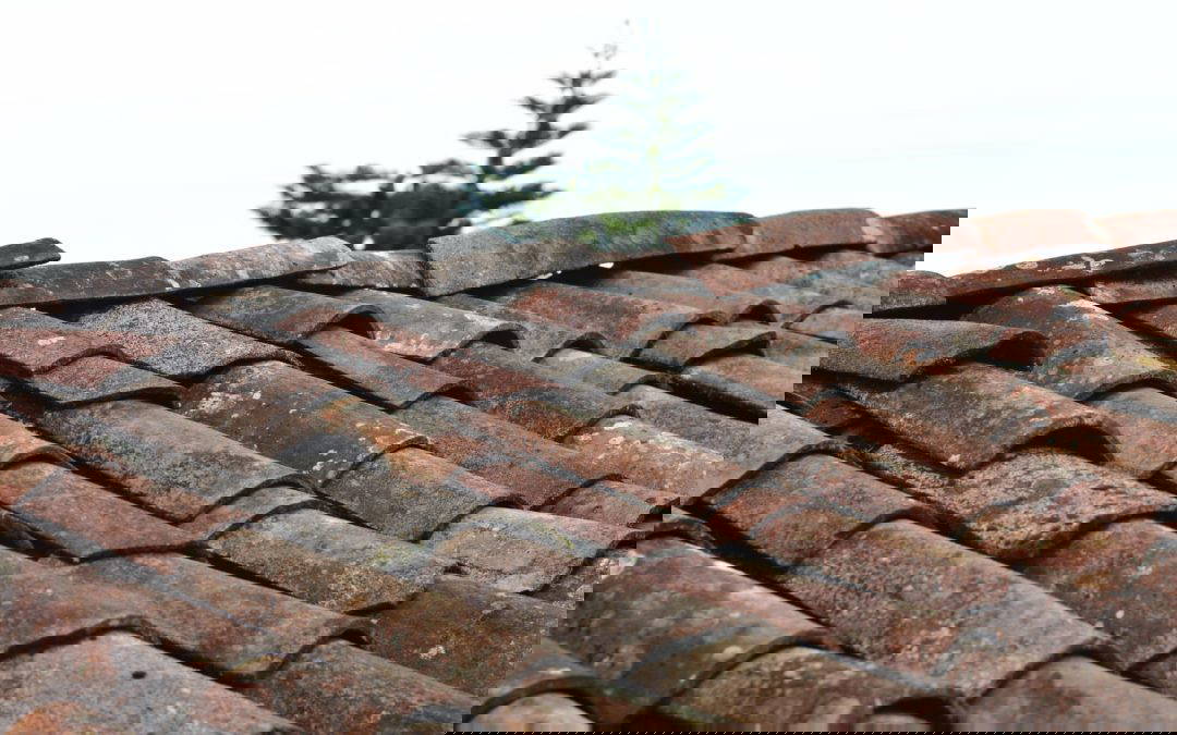 When Should You Replace Your Roof?