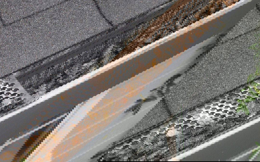 Do Gutter Guards Actually Work?